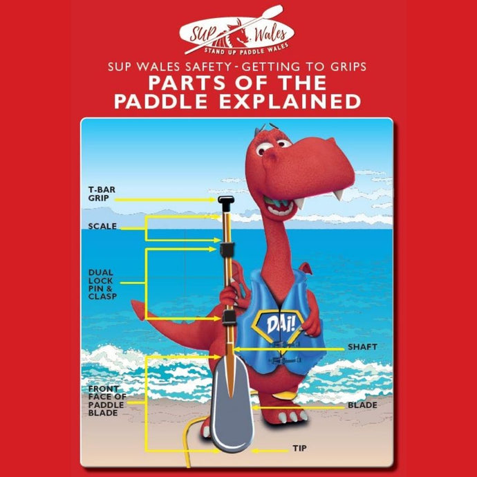 Parts Of The Paddle Explained