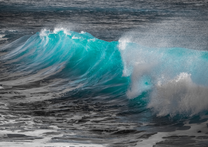 Wind, Wave & Swell